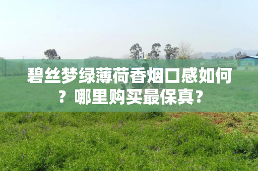 碧丝梦绿薄荷香烟口感如何？哪里购买最保真？